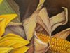 part2 natura con girasole